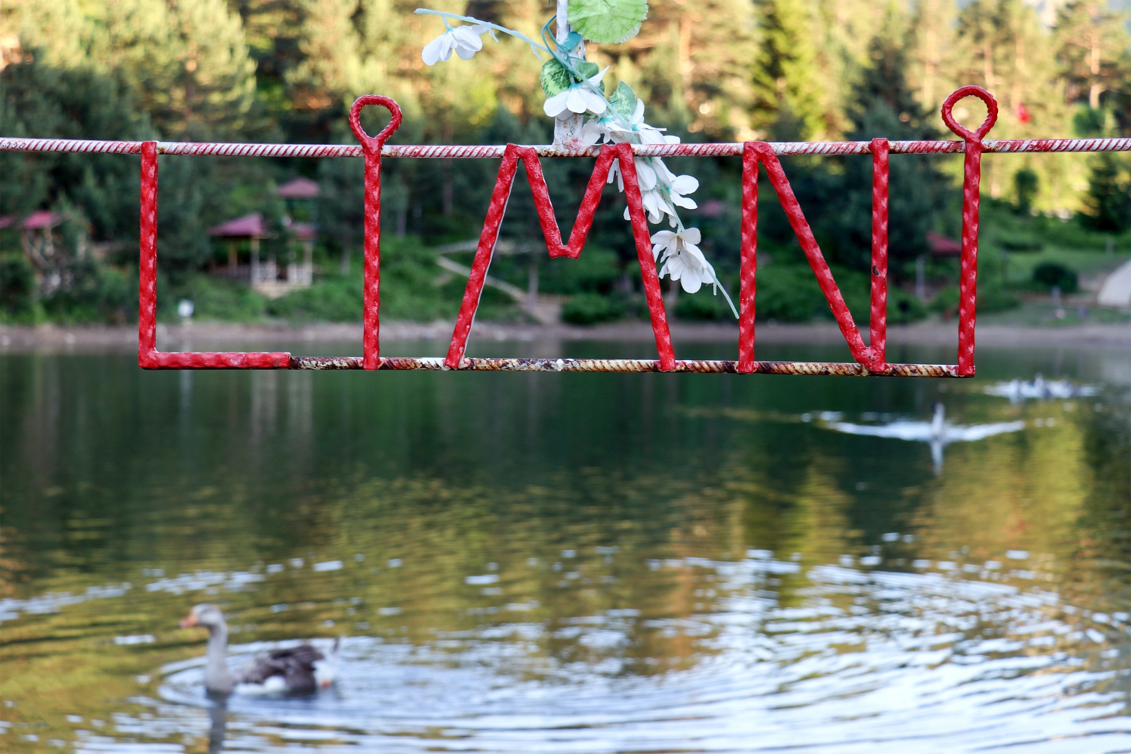 Doğa harikası Limni Gölüne ziyaretçi akını 1