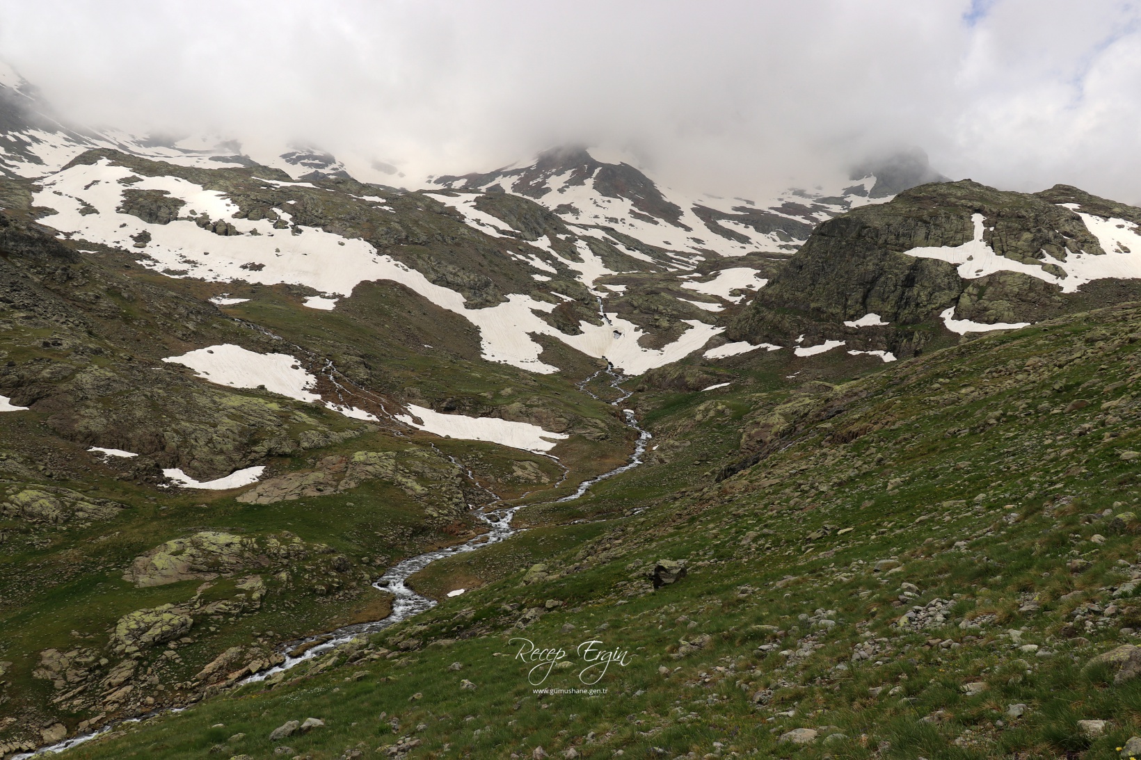 Artabel Gölleri'nde baharın renk cümbüşü başladı 39