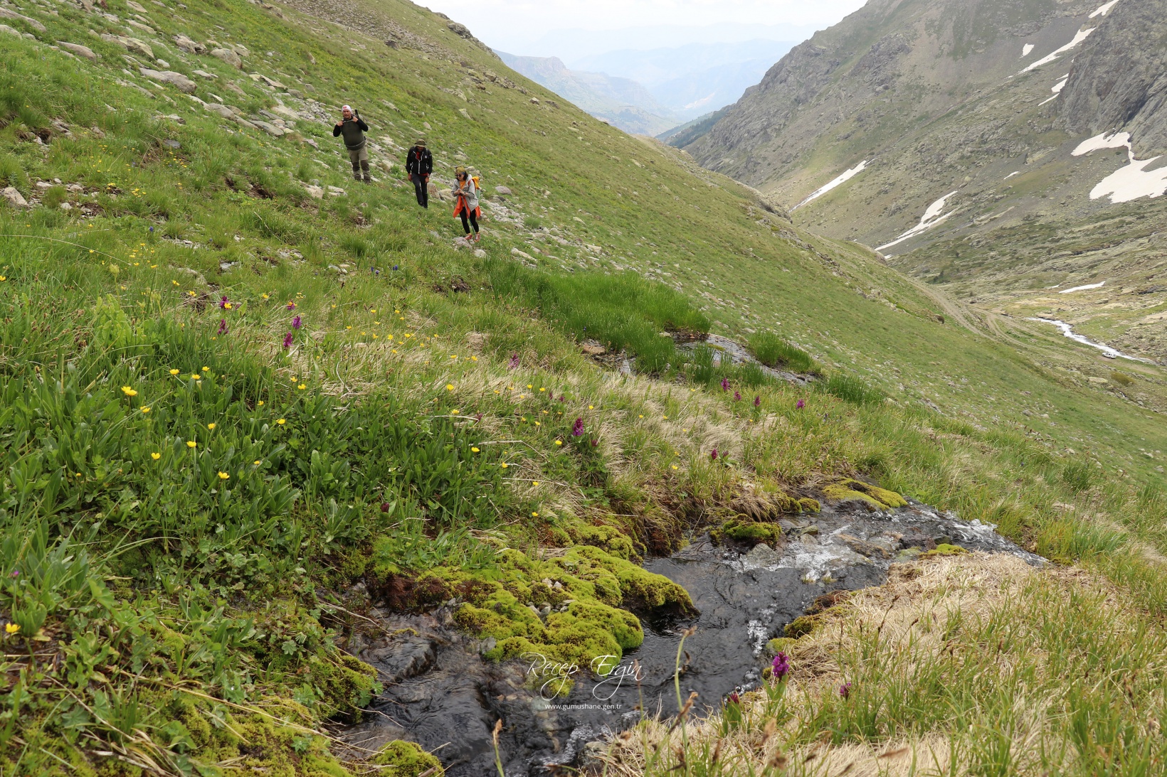 Artabel Gölleri'nde baharın renk cümbüşü başladı 45