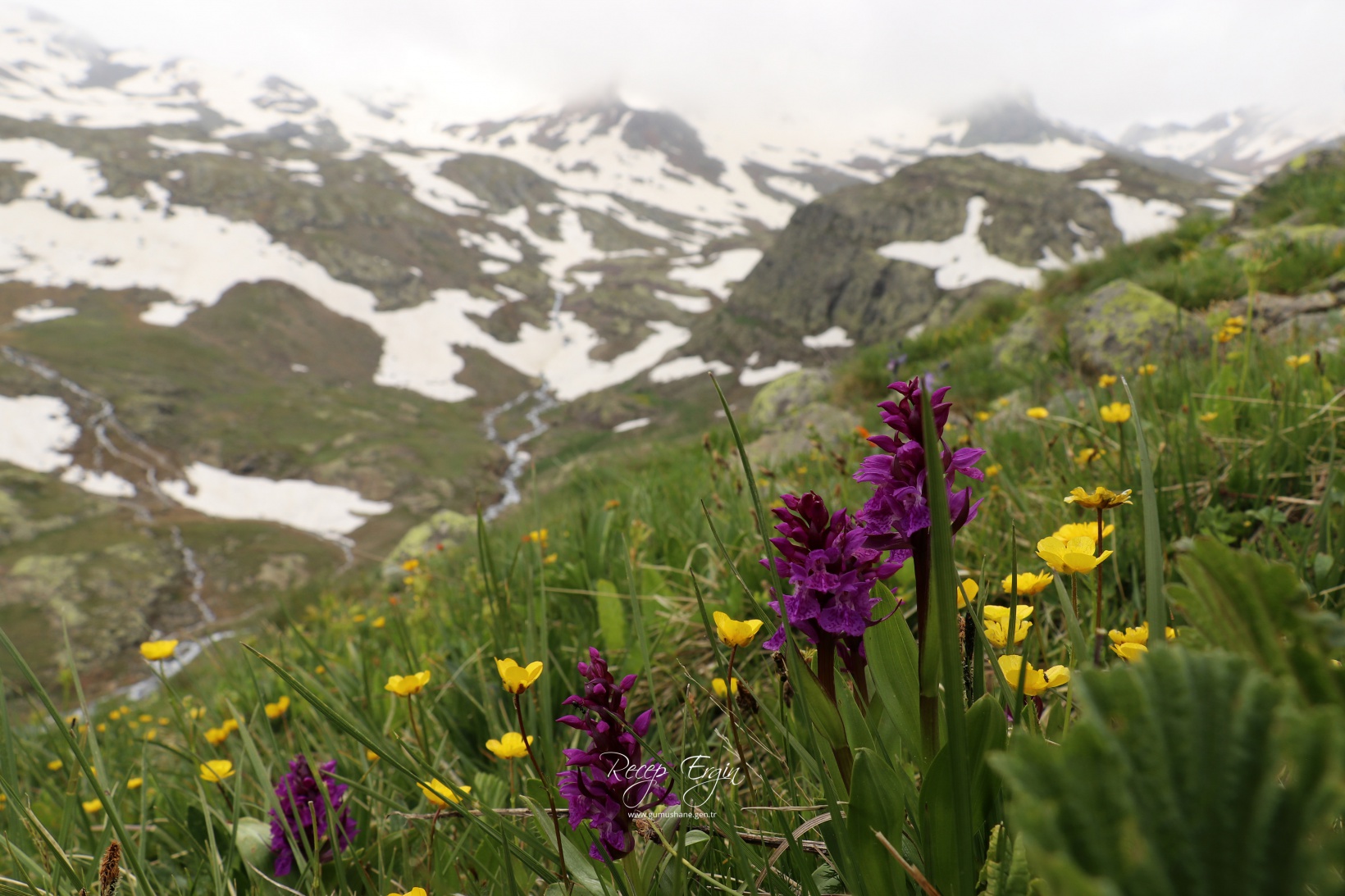 Artabel Gölleri'nde baharın renk cümbüşü başladı 6