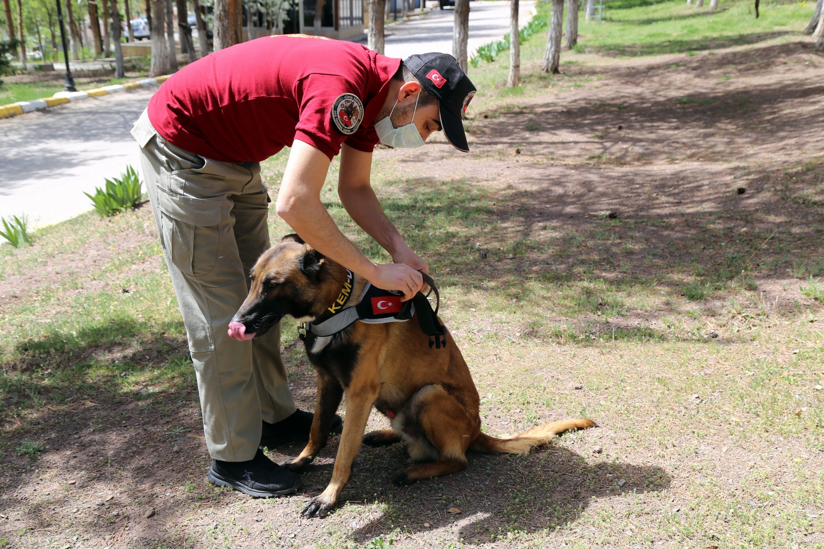Narkotik ekiplerinin en büyük yardımcısı: Alex 17