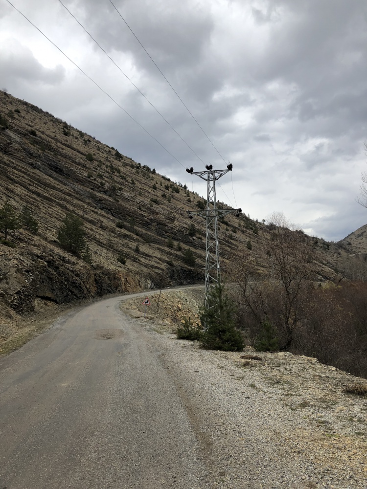 ÇORUH EDAŞ yüksek gerilim yatırımlarına bir yenisini daha ekledi 4
