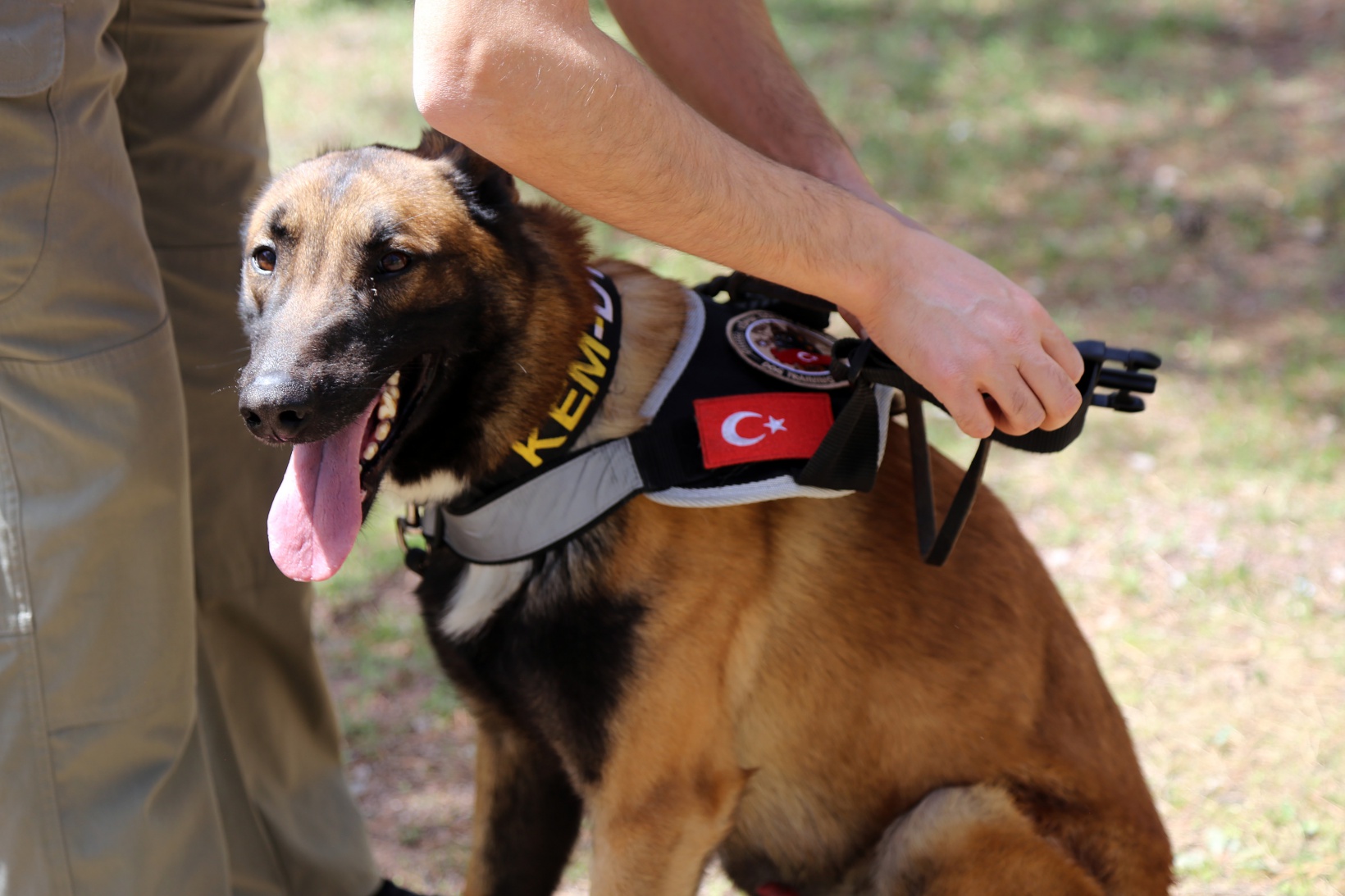 Narkotik ekiplerinin en büyük yardımcısı: Alex 8