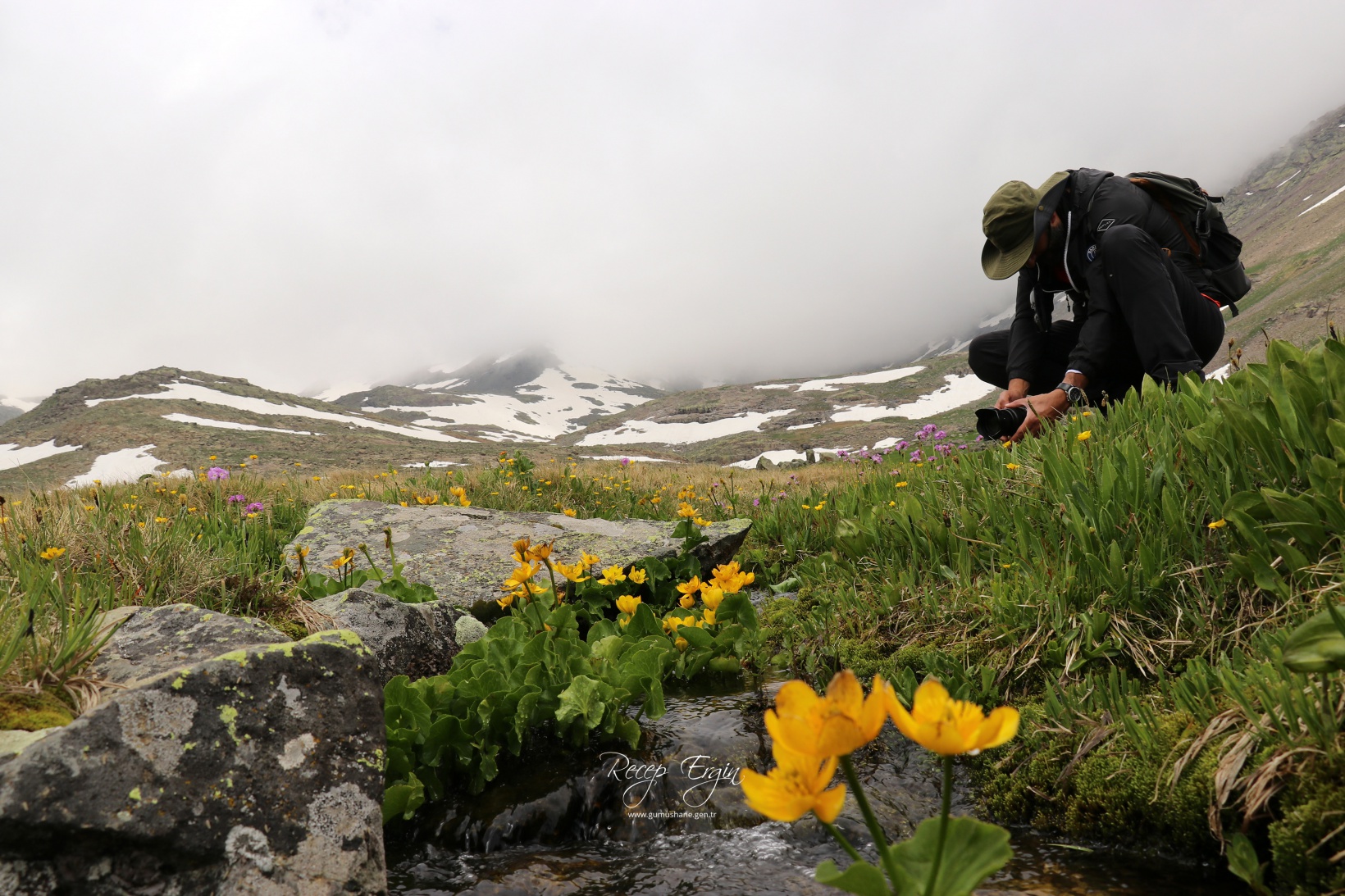 Artabel Gölleri'nde baharın renk cümbüşü başladı 26