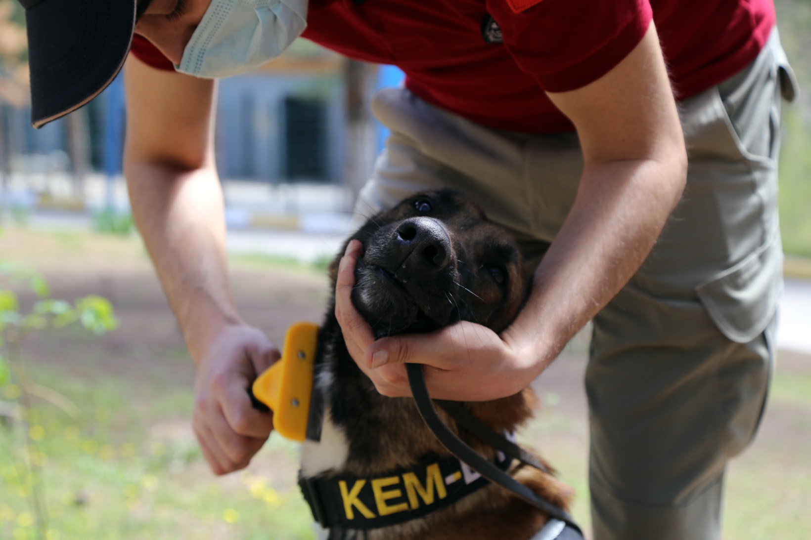 Narkotik ekiplerinin en büyük yardımcısı: Alex 1