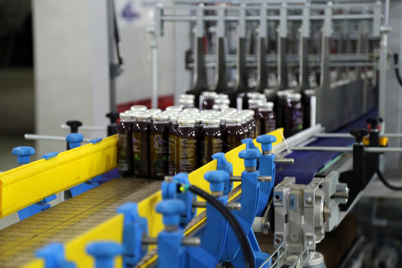 GÜMÜŞSU'nun ünü kıtaları aştı 10