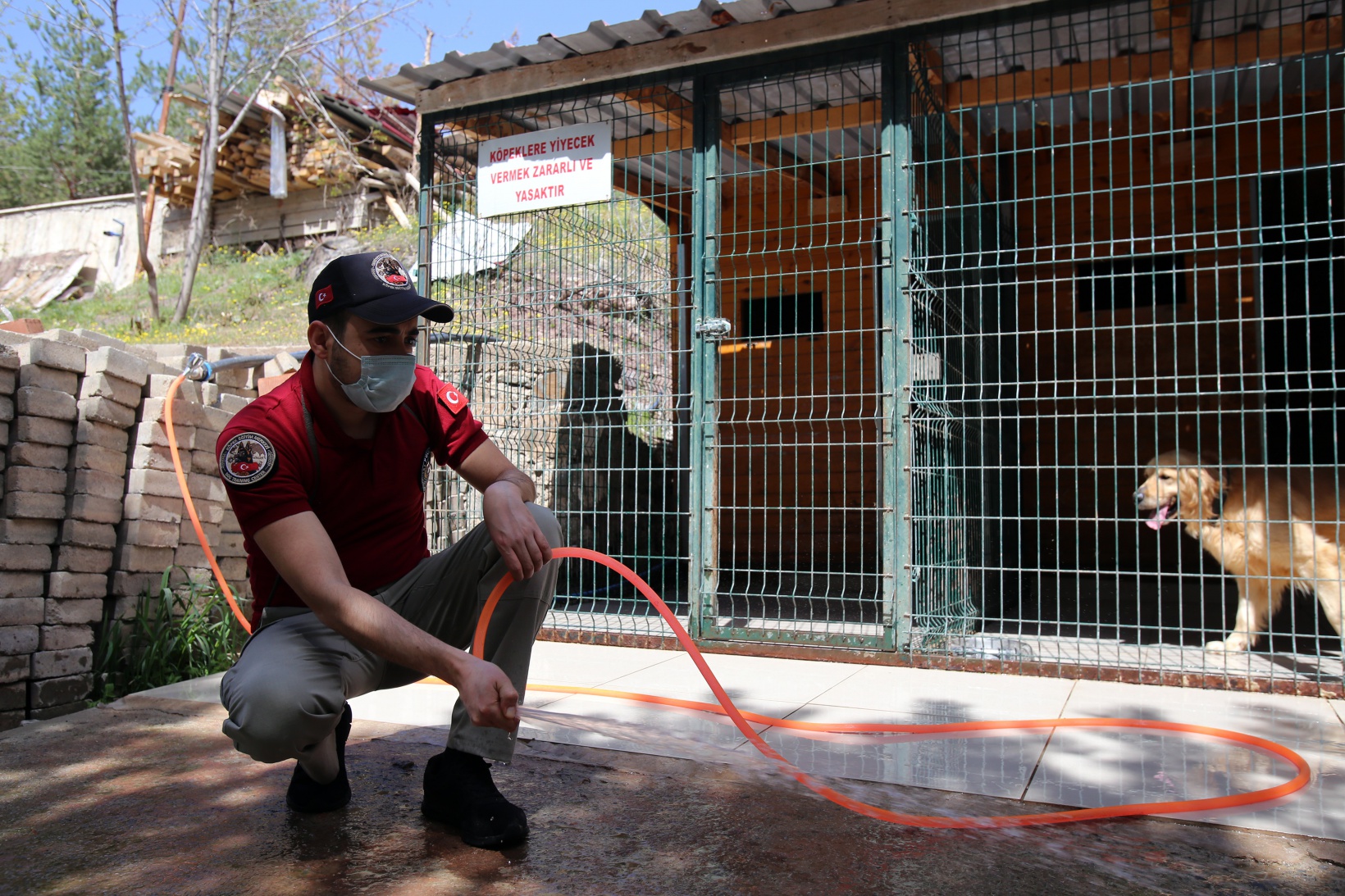 Narkotik ekiplerinin en büyük yardımcısı: Alex 18