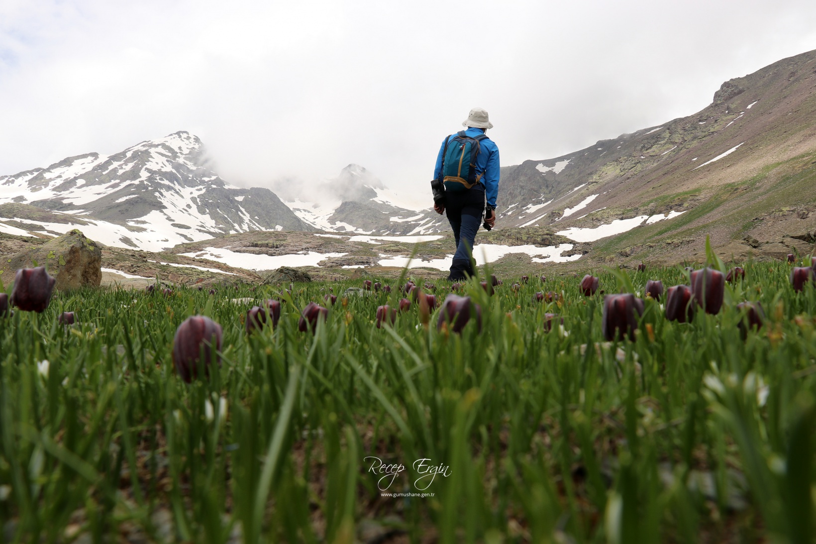 Artabel Gölleri'nde baharın renk cümbüşü başladı 14