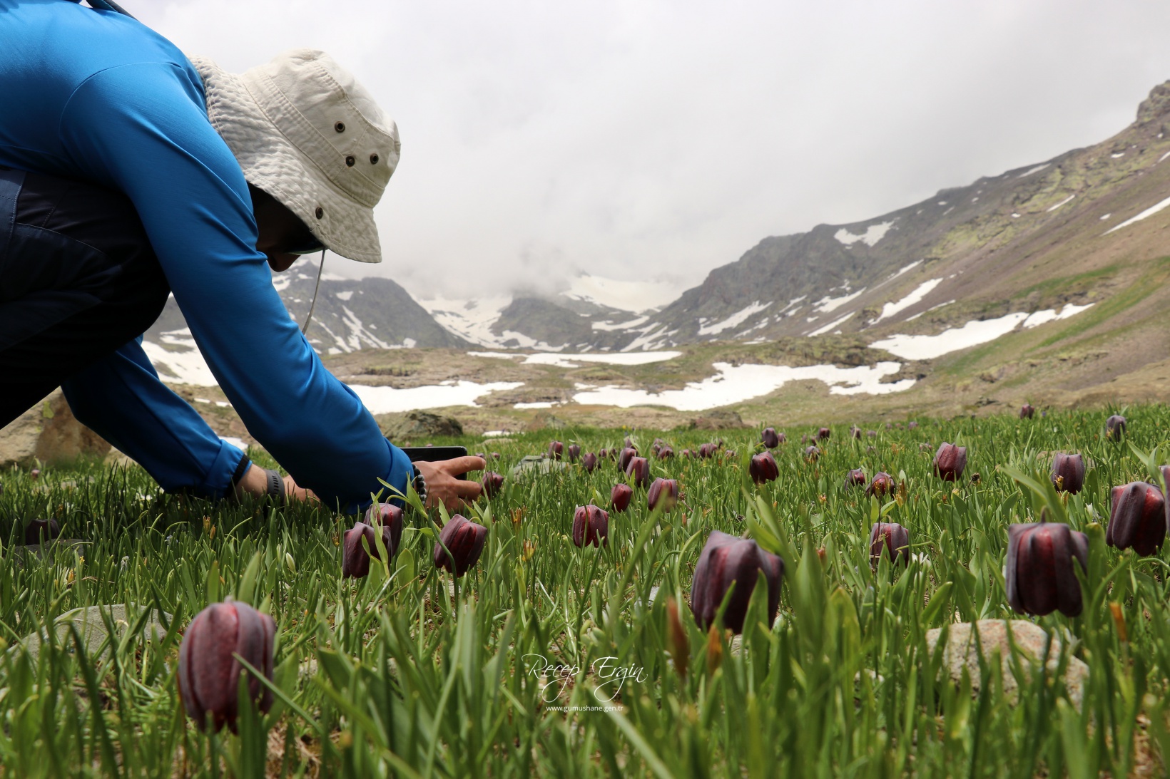 Artabel Gölleri'nde baharın renk cümbüşü başladı 15