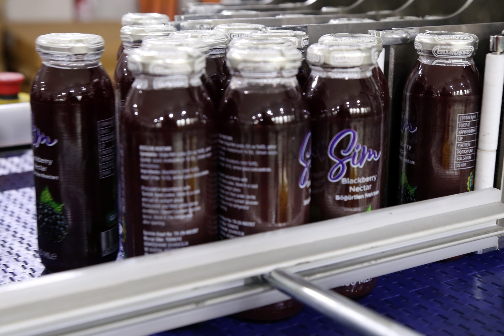 GÜMÜŞSU'nun ünü kıtaları aştı 12