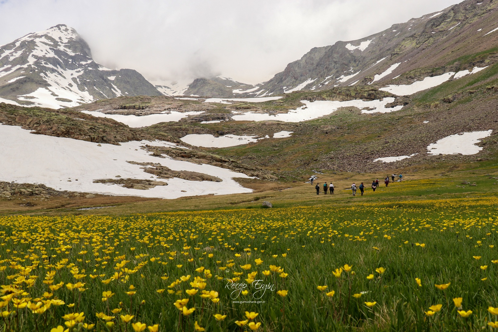 Artabel Gölleri'nde baharın renk cümbüşü başladı 40