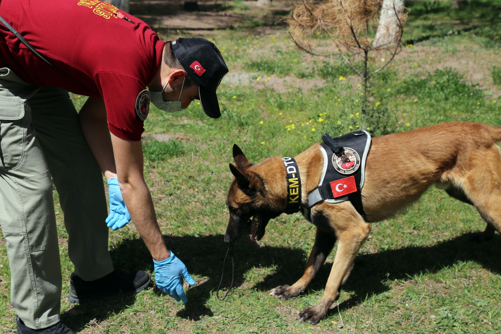 Narkotik ekiplerinin en büyük yardımcısı: Alex 10