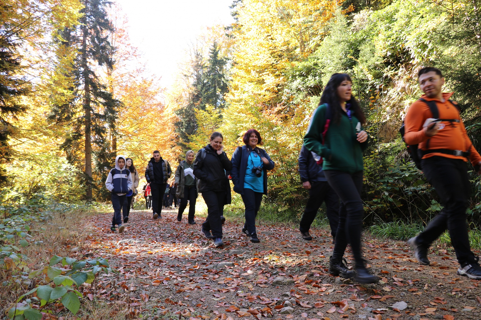 Eşsiz manzarayı görmek için canlı ağaç müzesine akın ettiler 7