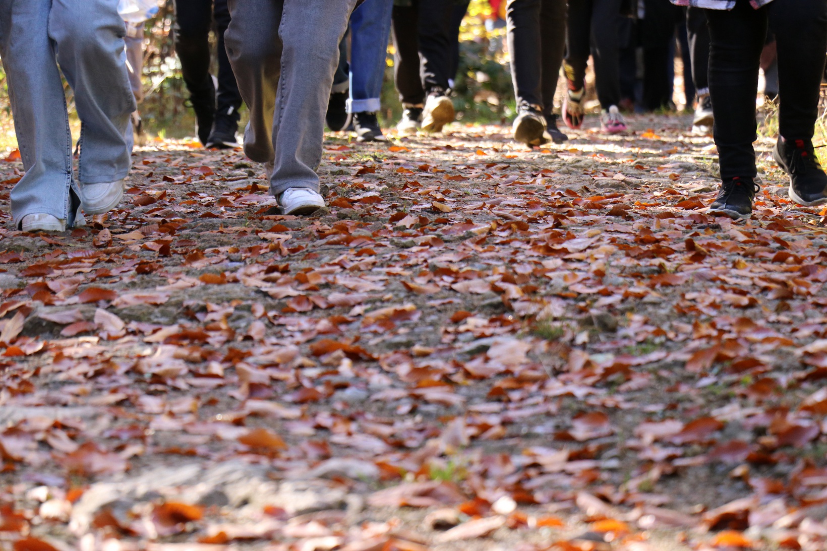 Eşsiz manzarayı görmek için canlı ağaç müzesine akın ettiler 20