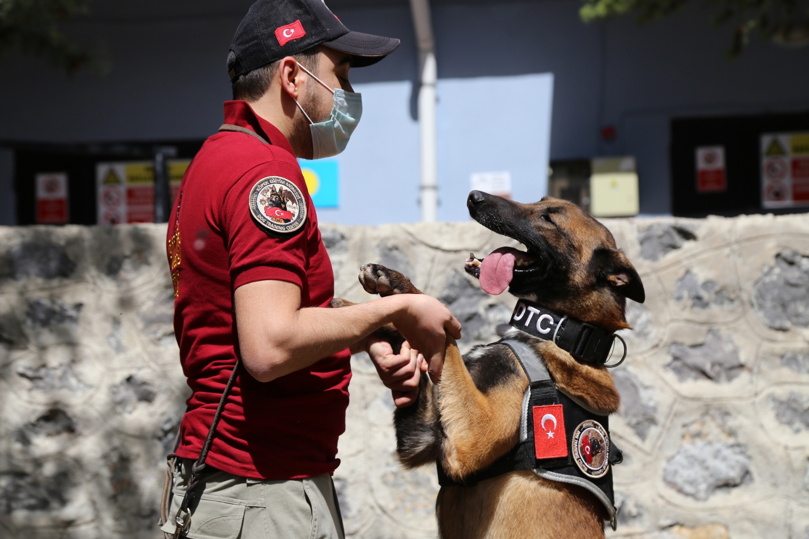 Narkotik ekiplerinin en büyük yardımcısı: Alex 19