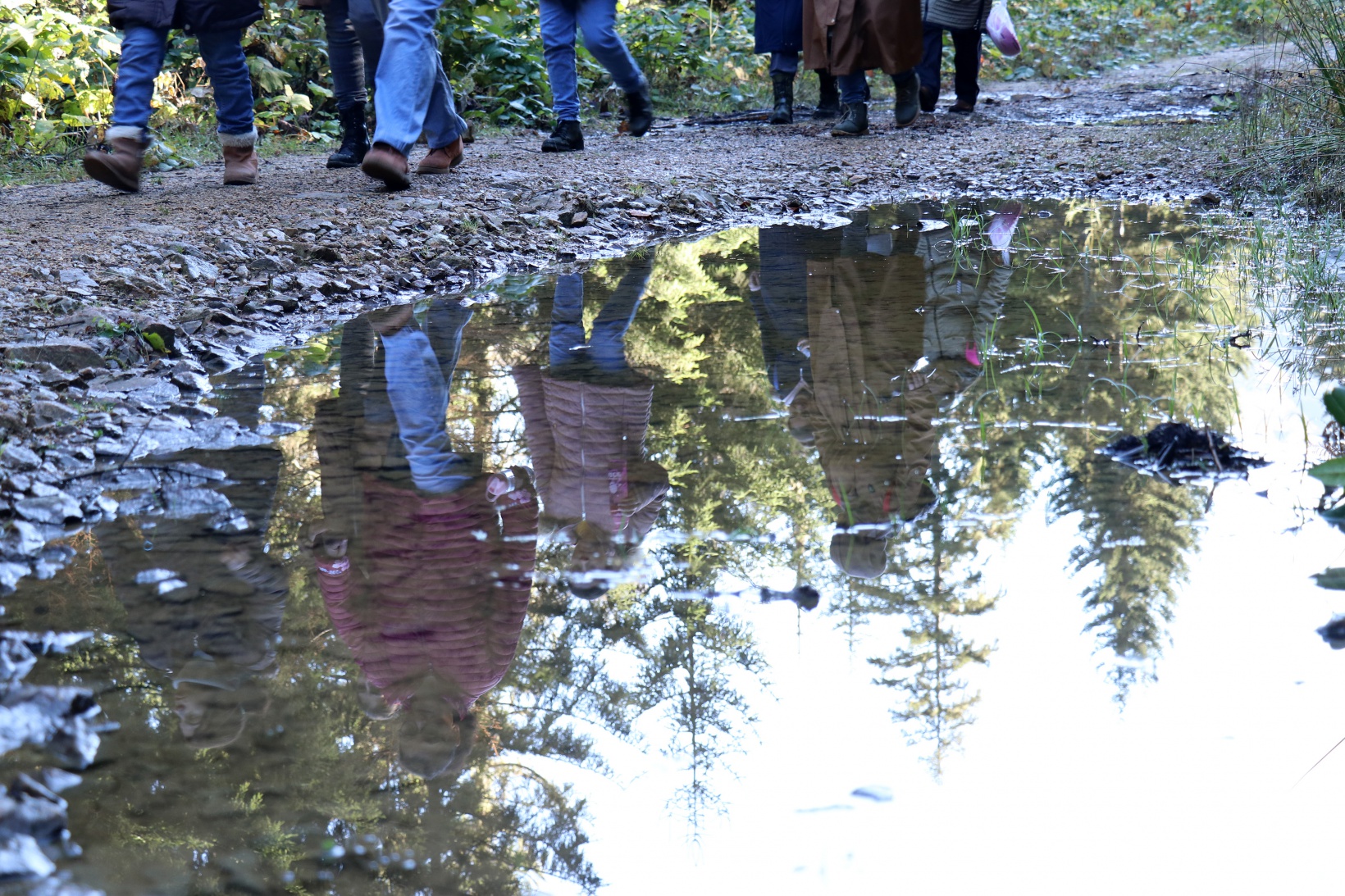 Eşsiz manzarayı görmek için canlı ağaç müzesine akın ettiler 24