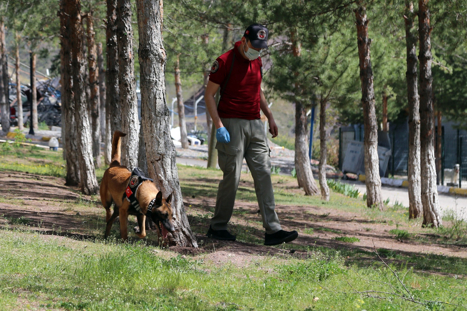 Narkotik ekiplerinin en büyük yardımcısı: Alex 7