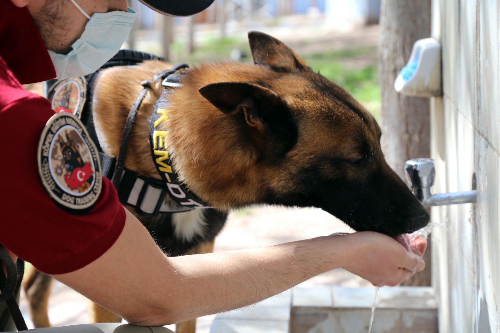 Narkotik ekiplerinin en büyük yardımcısı: Alex 4