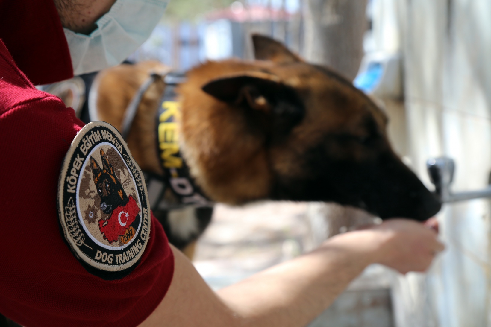 Narkotik ekiplerinin en büyük yardımcısı: Alex 2