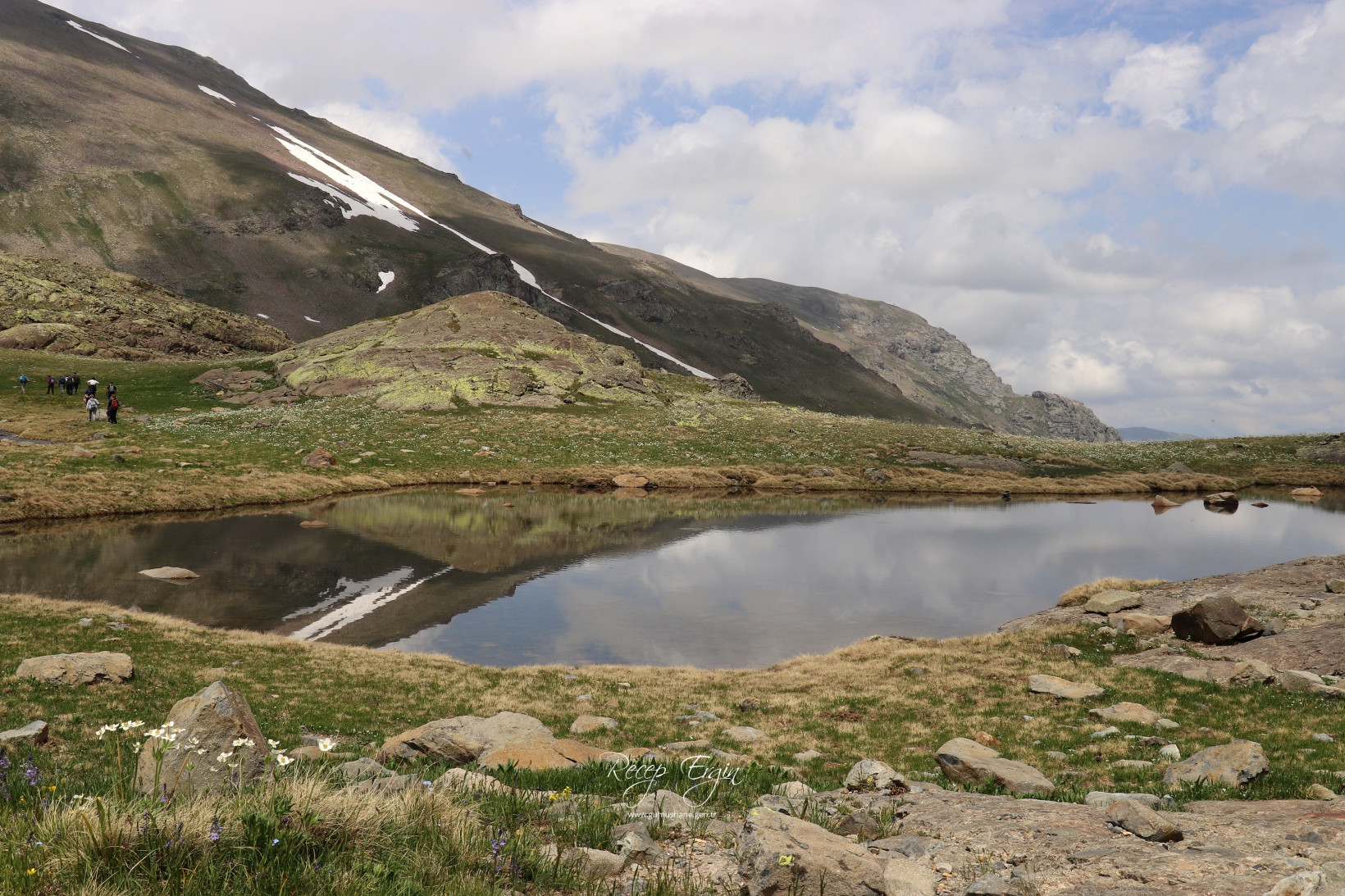 Artabel Gölleri'nde baharın renk cümbüşü başladı 58