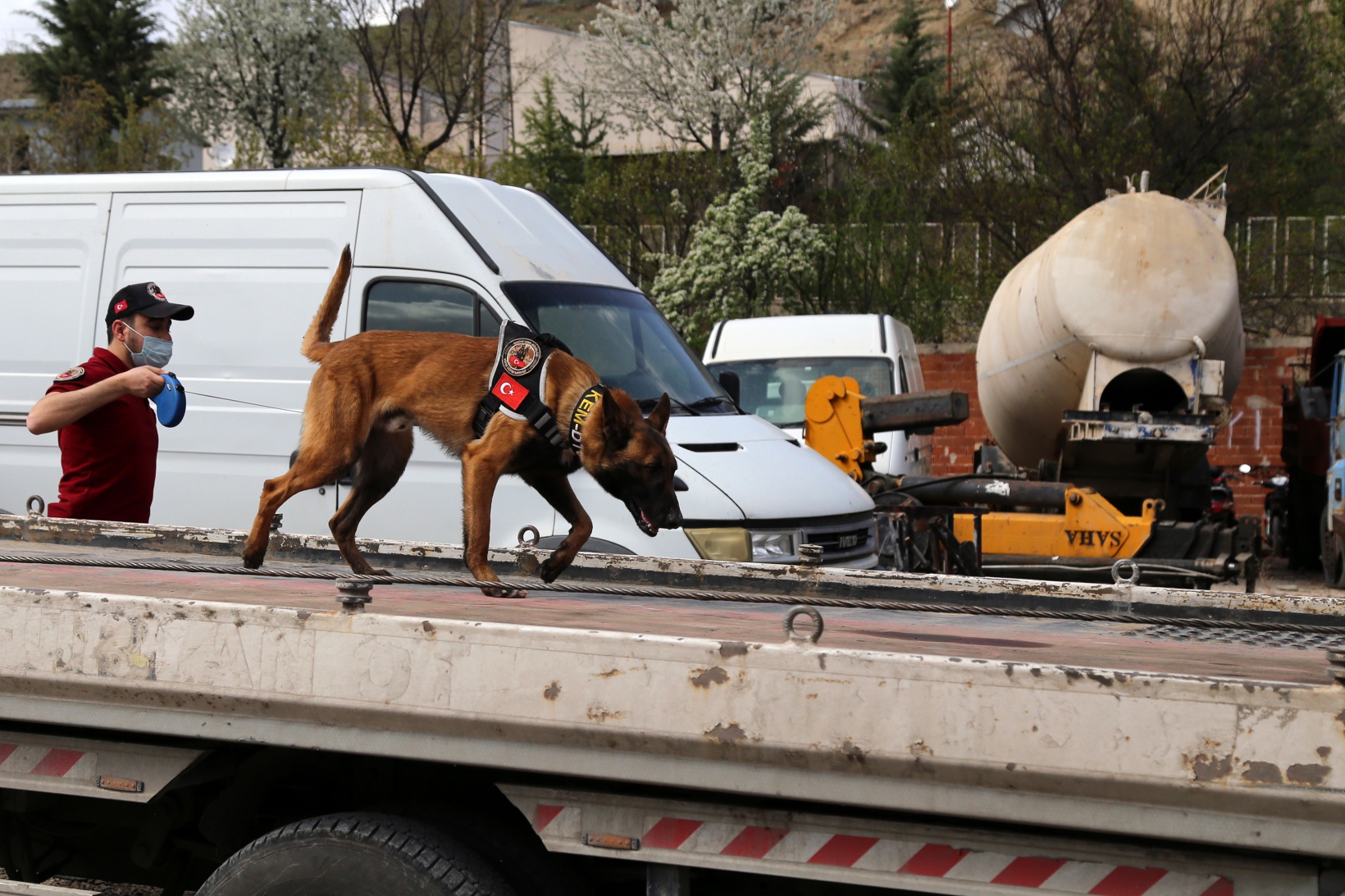 Narkotik ekiplerinin en büyük yardımcısı: Alex 15