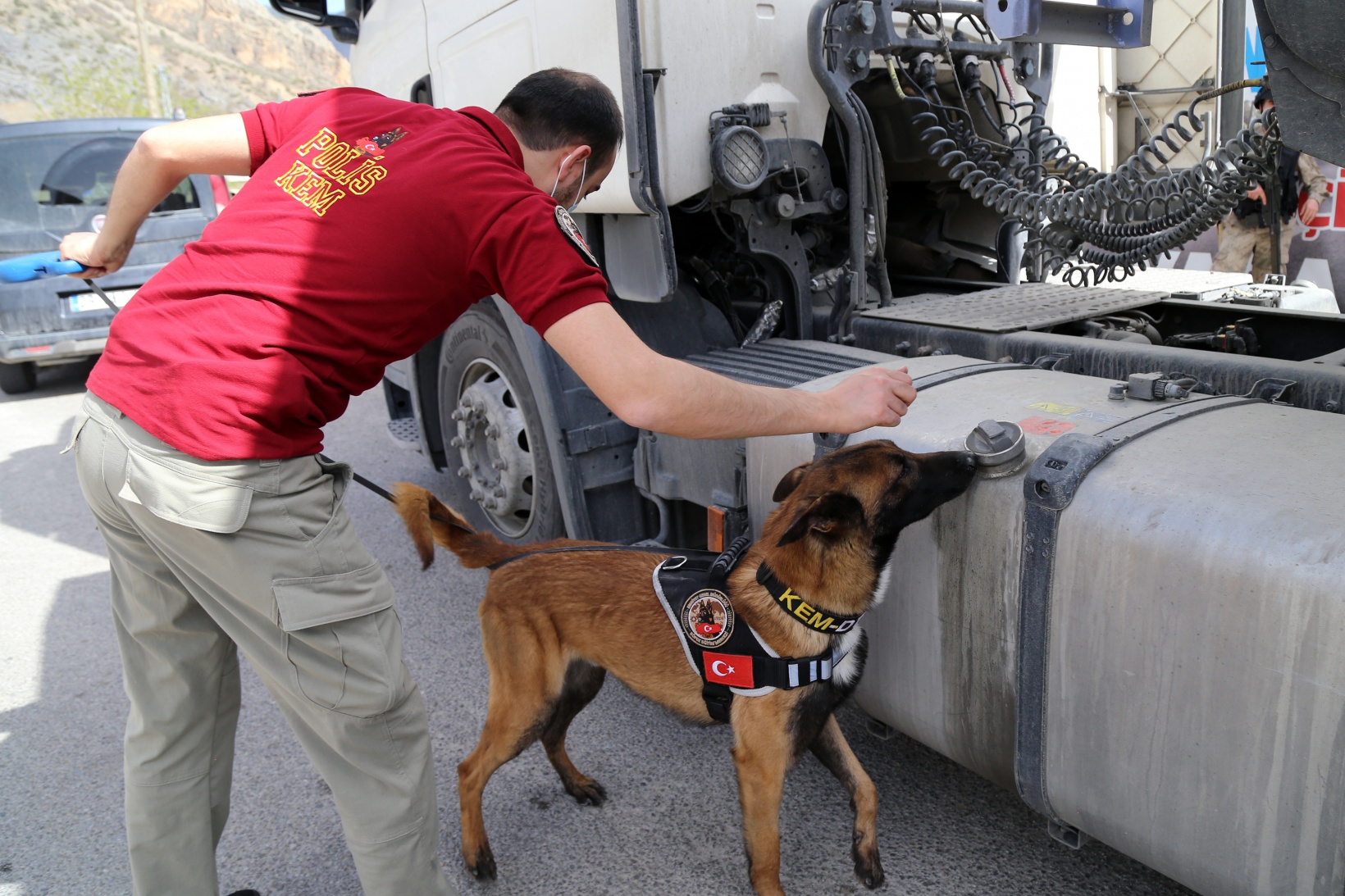 Narkotik ekiplerinin en büyük yardımcısı: Alex 16