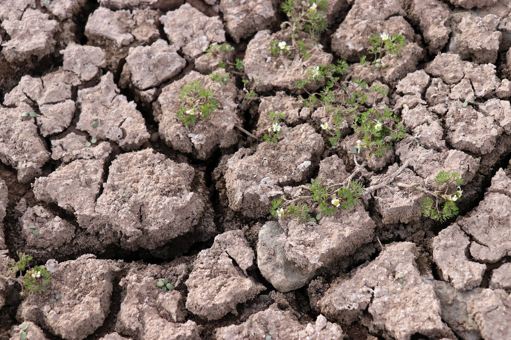Dörtkonak'taki Dipsiz Göl “Dipsiz Çöl” oldu 16