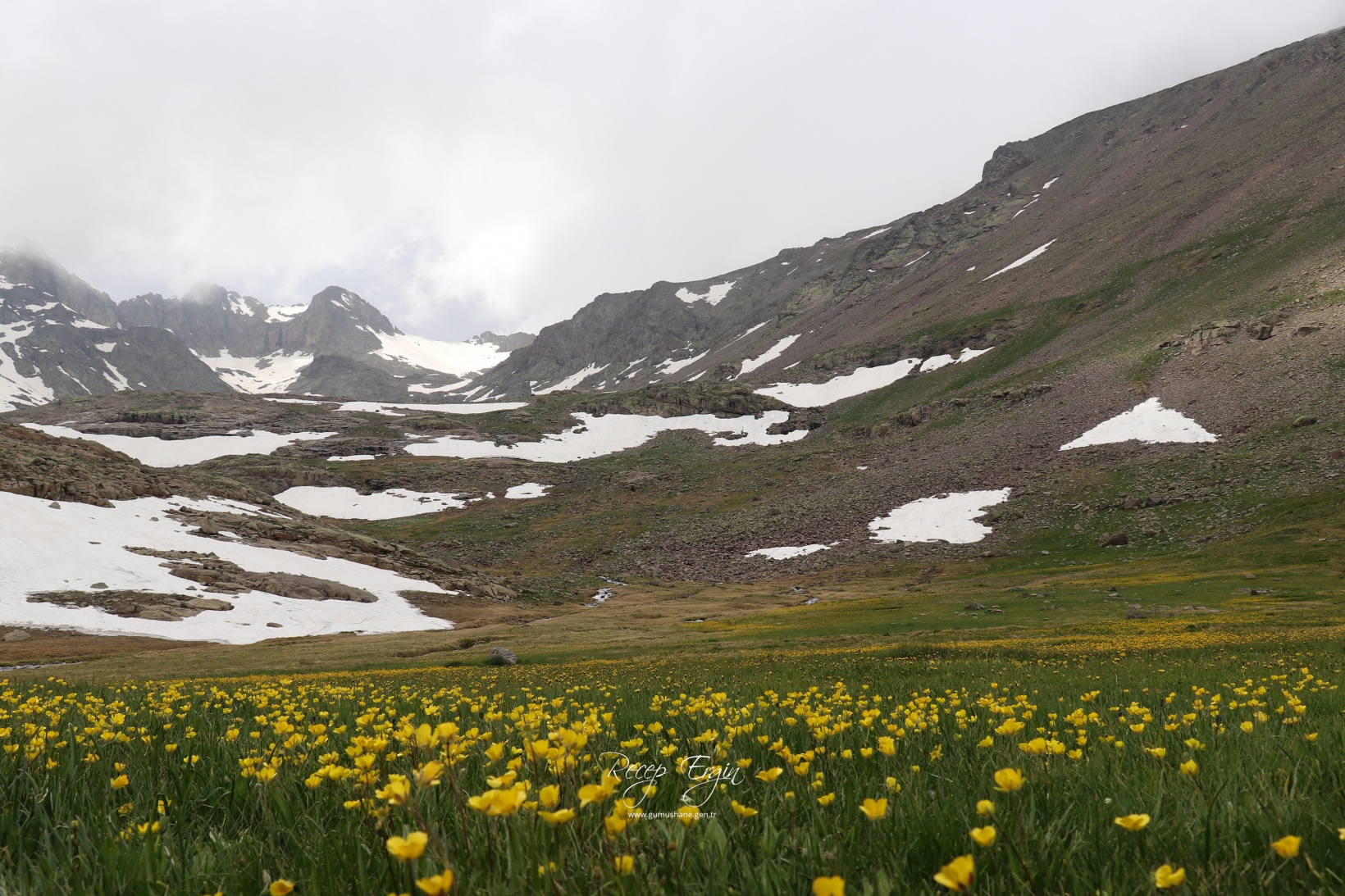 Artabel Gölleri'nde baharın renk cümbüşü başladı 33