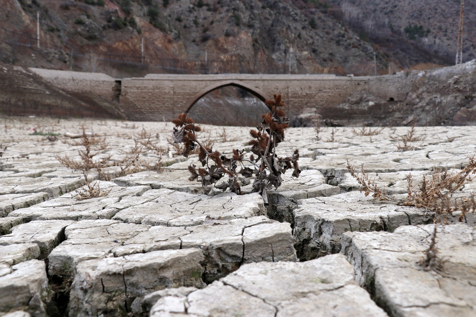 Torul baraj gölünde su seviyesi 40 metre çekildi 7