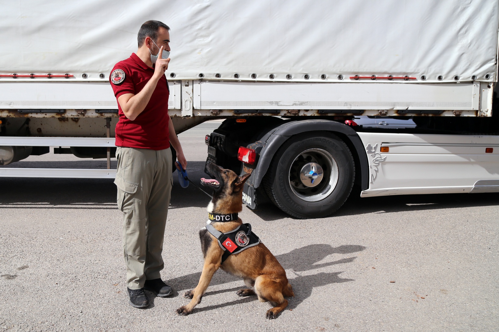 Narkotik ekiplerinin en büyük yardımcısı: Alex 13