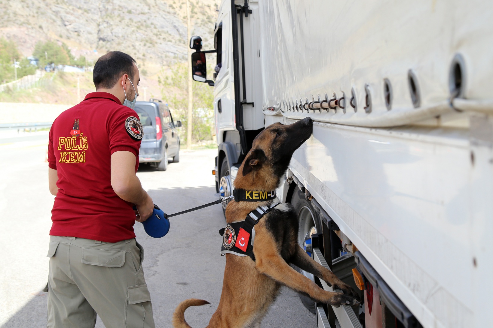 Narkotik ekiplerinin en büyük yardımcısı: Alex 6