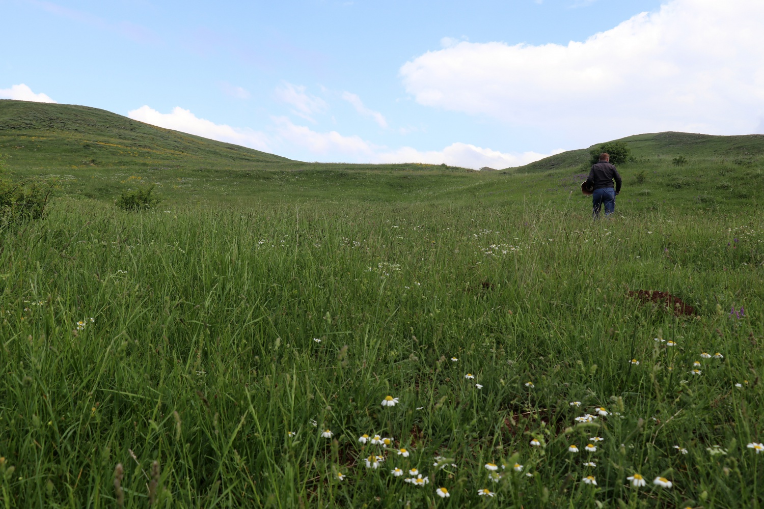 Gümüşhane’de son 25 yılın en büyük kızıl mantarı bulundu 10