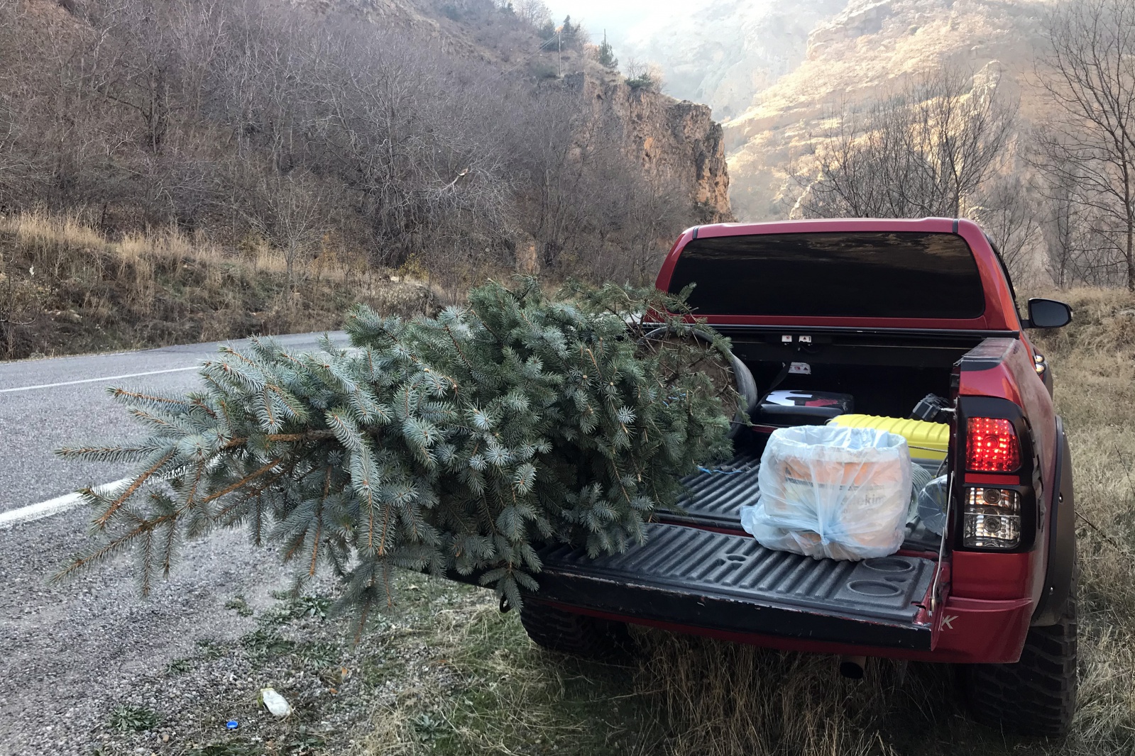 Şehit öğretmen Necmettin Yılmaz’ın şehit edildiği yere ağaç diktiler 1