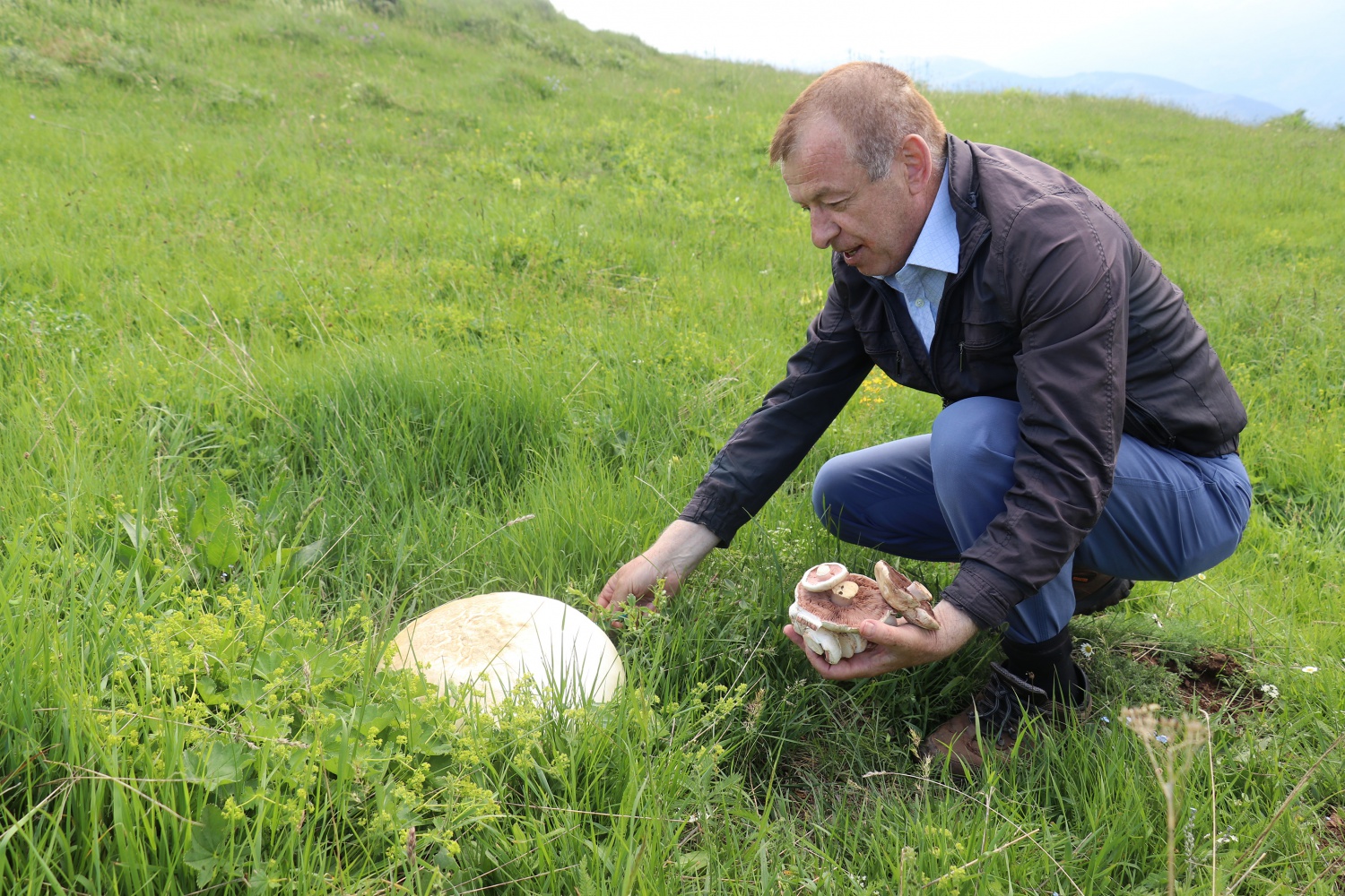 Gümüşhane’de son 25 yılın en büyük kızıl mantarı bulundu 8