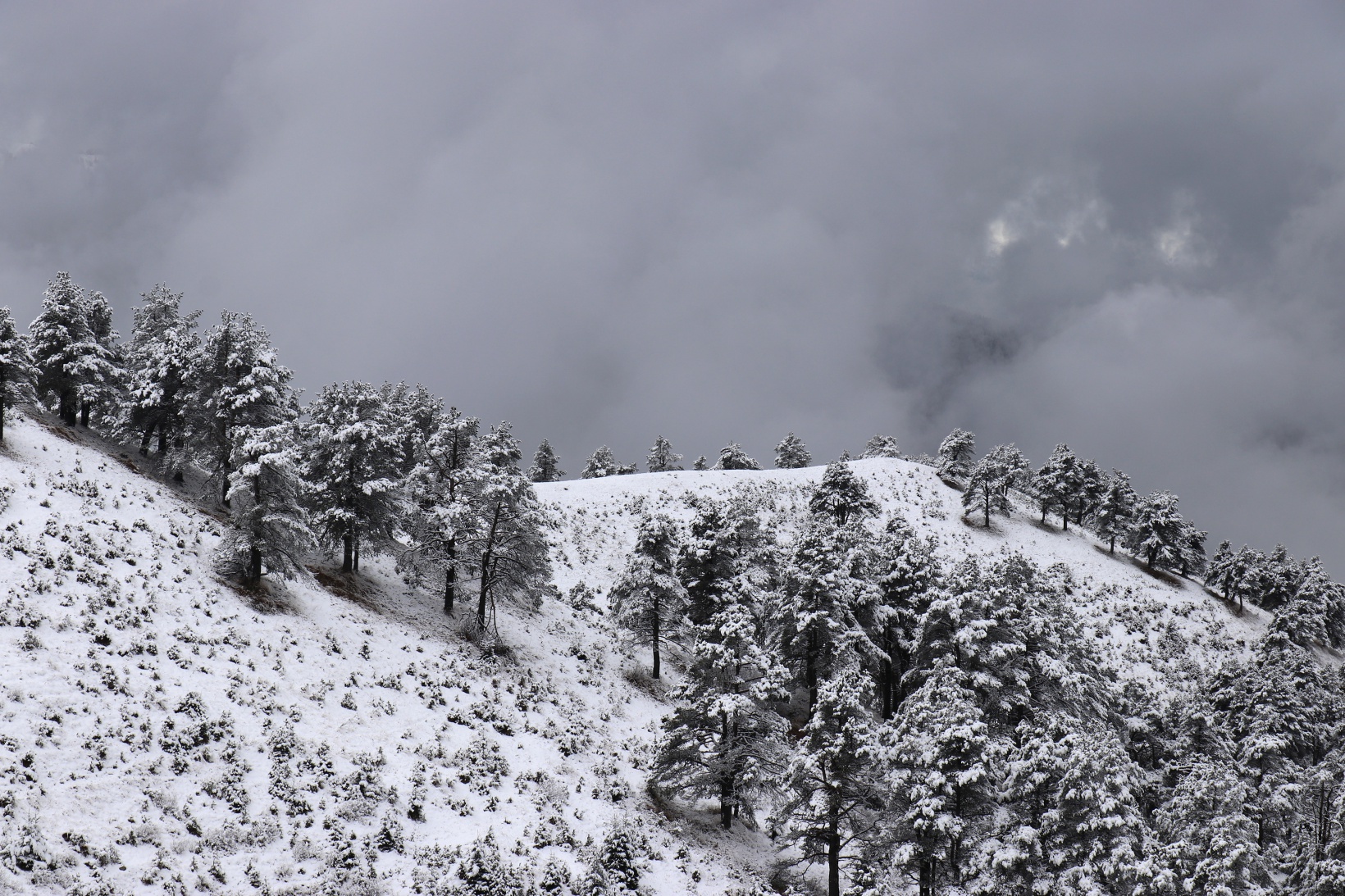 Zigana Dağı beyaz gelinliğini giydi 6