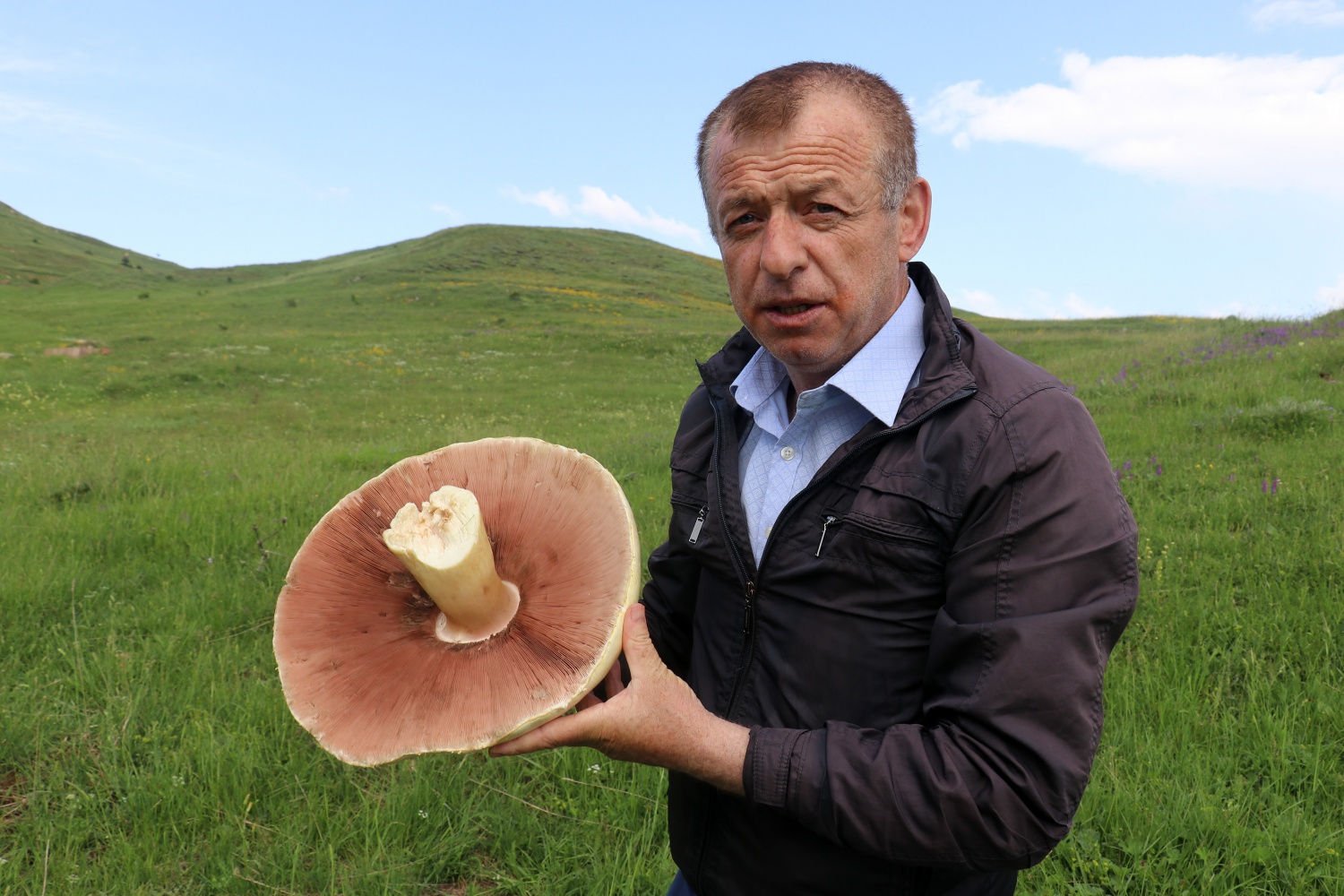 Gümüşhane’de son 25 yılın en büyük kızıl mantarı bulundu 3