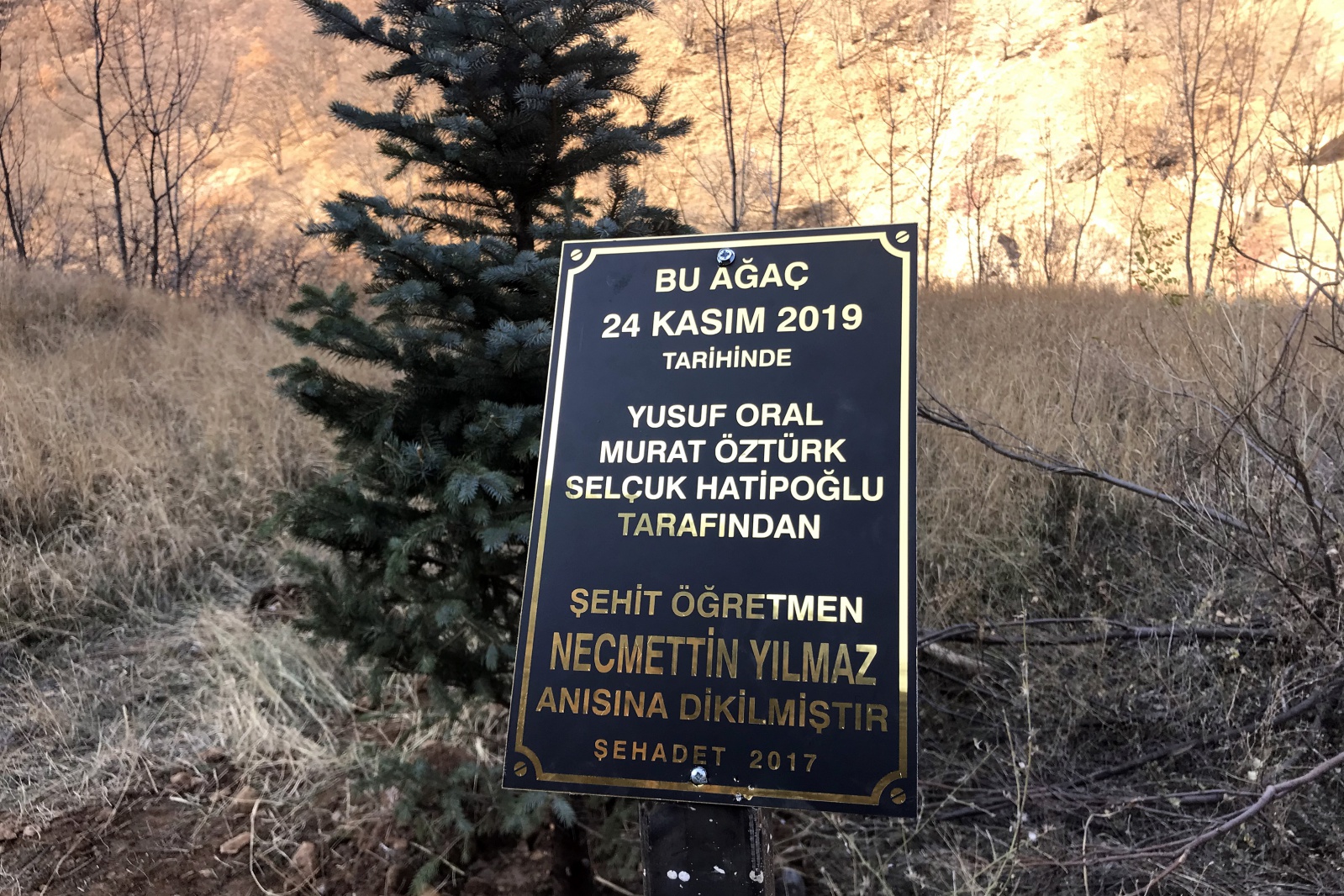 Şehit öğretmen Necmettin Yılmaz’ın şehit edildiği yere ağaç diktiler 2