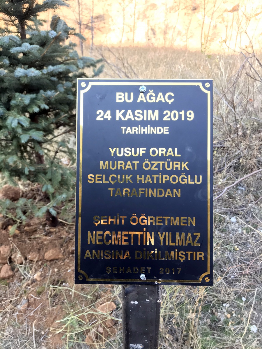 Şehit öğretmen Necmettin Yılmaz’ın şehit edildiği yere ağaç diktiler 3