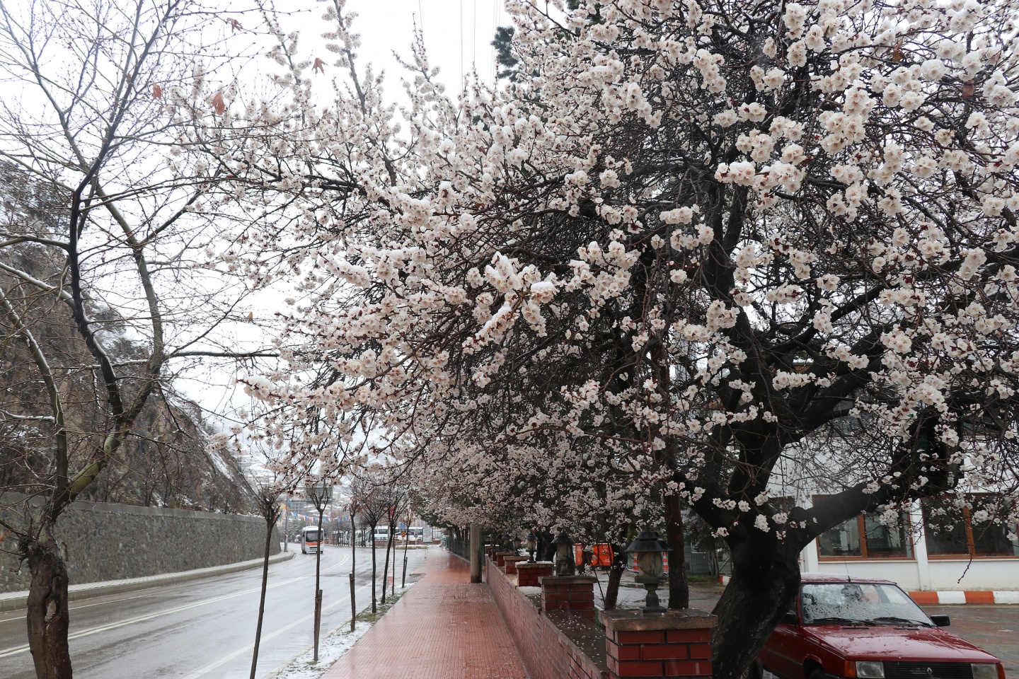 Gümüşhane’ye Nisan ayında beyaz sürpriz 20