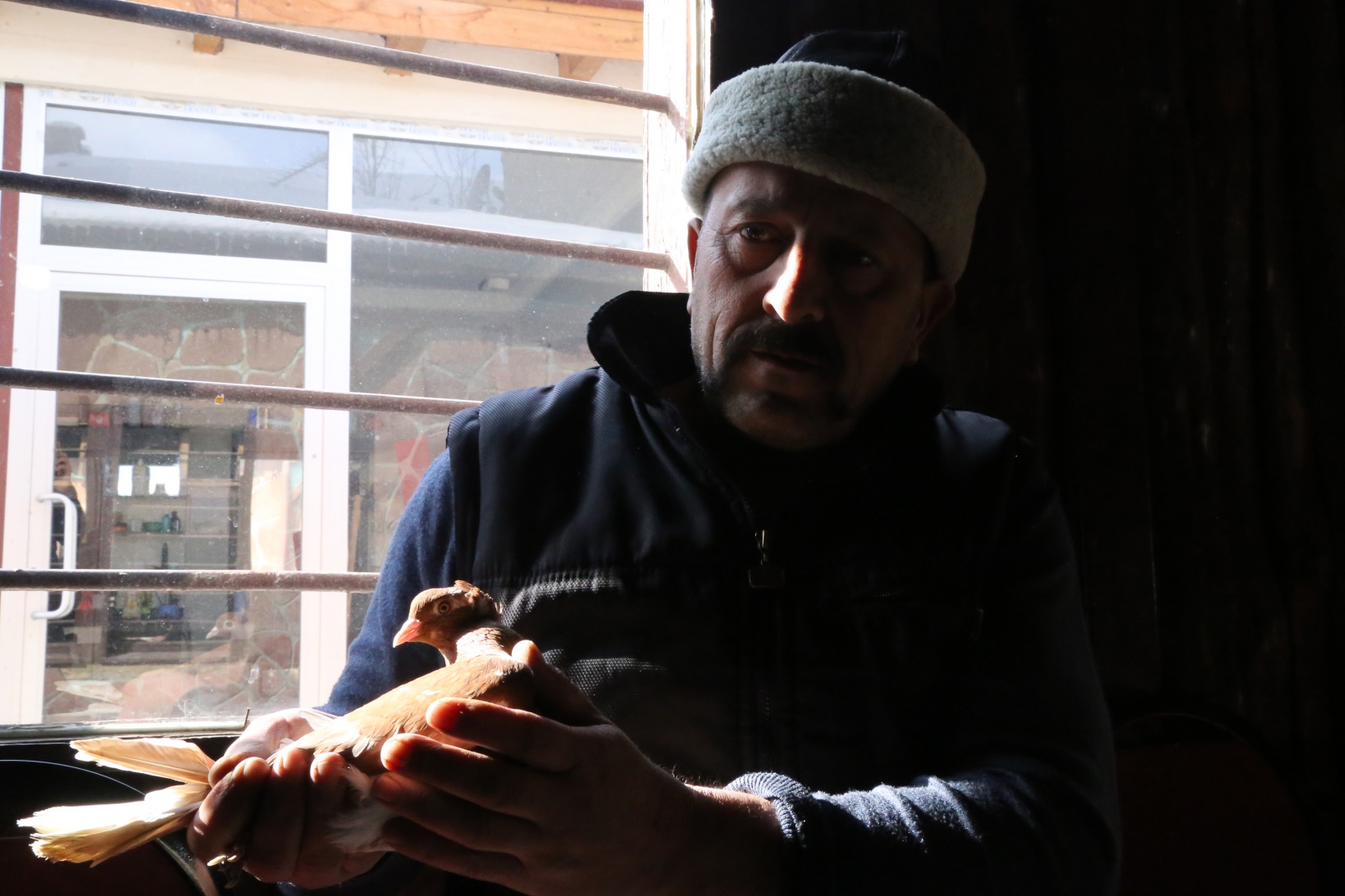 Sahibinin ömrünü uzatan güvercin: Kelkit Tepelisi 6