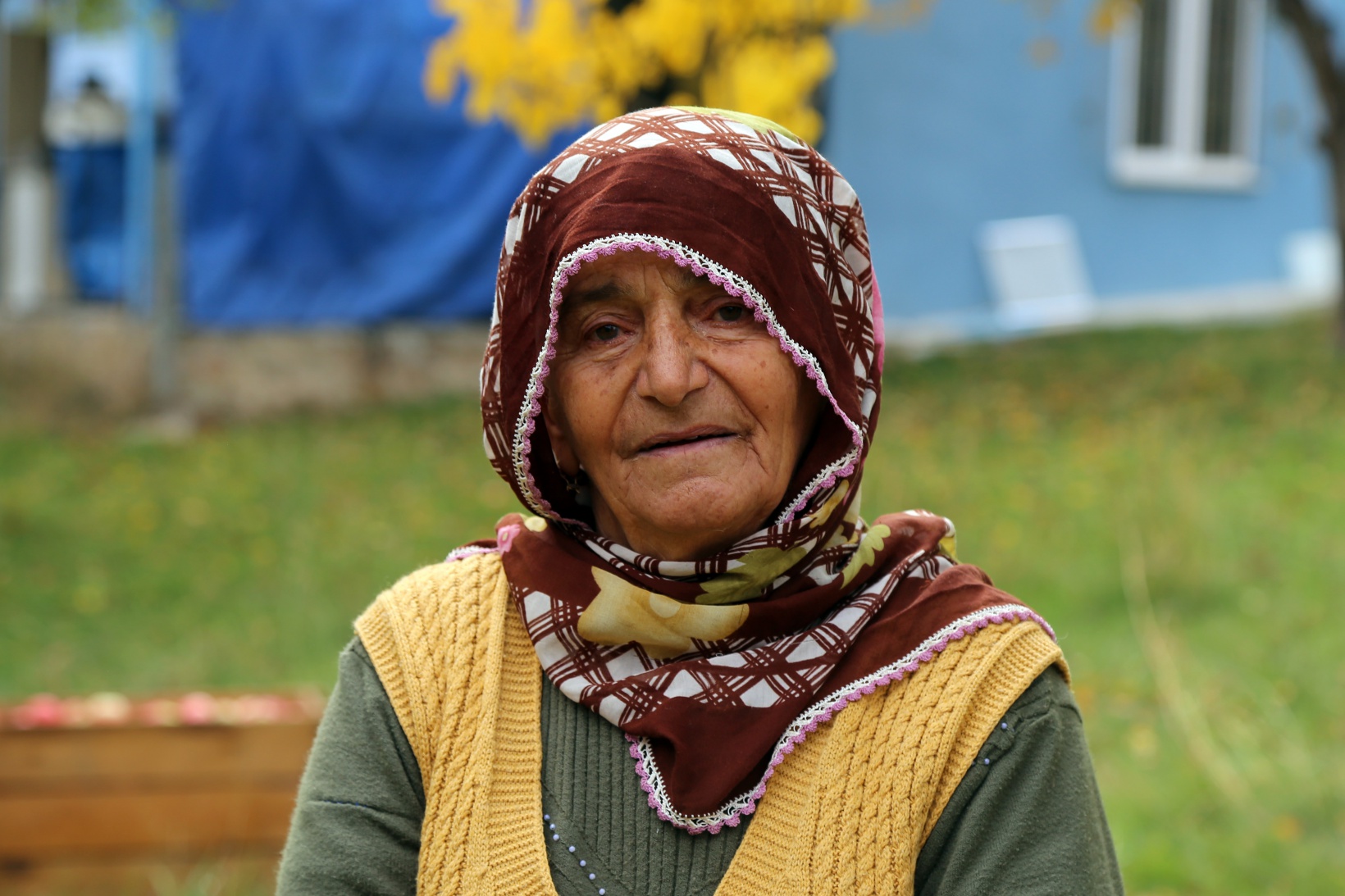 Gümüşhane elmasında hasat zamanı 5