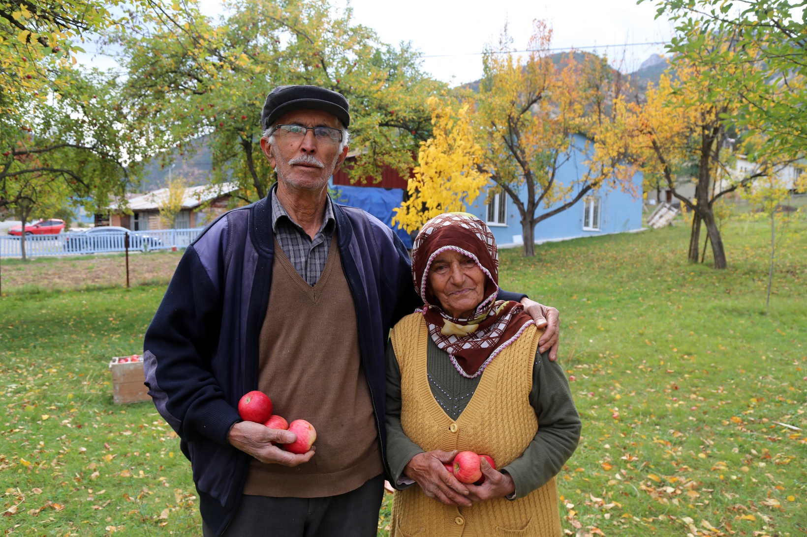 Gümüşhane elmasında hasat zamanı 4