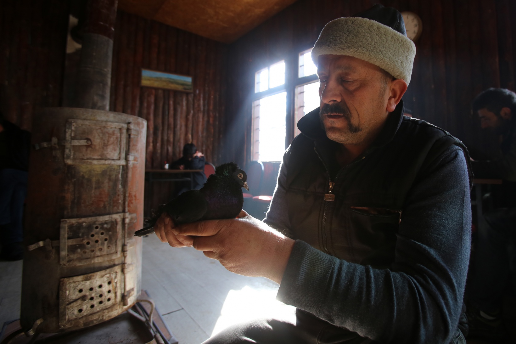 Sahibinin ömrünü uzatan güvercin: Kelkit Tepelisi 16