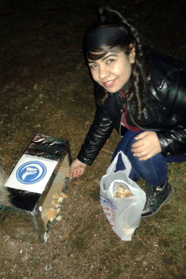 Ülkü Ocaklarından Sokak Hayvanlarına Barınak ve Yiyecek Yardımı 7