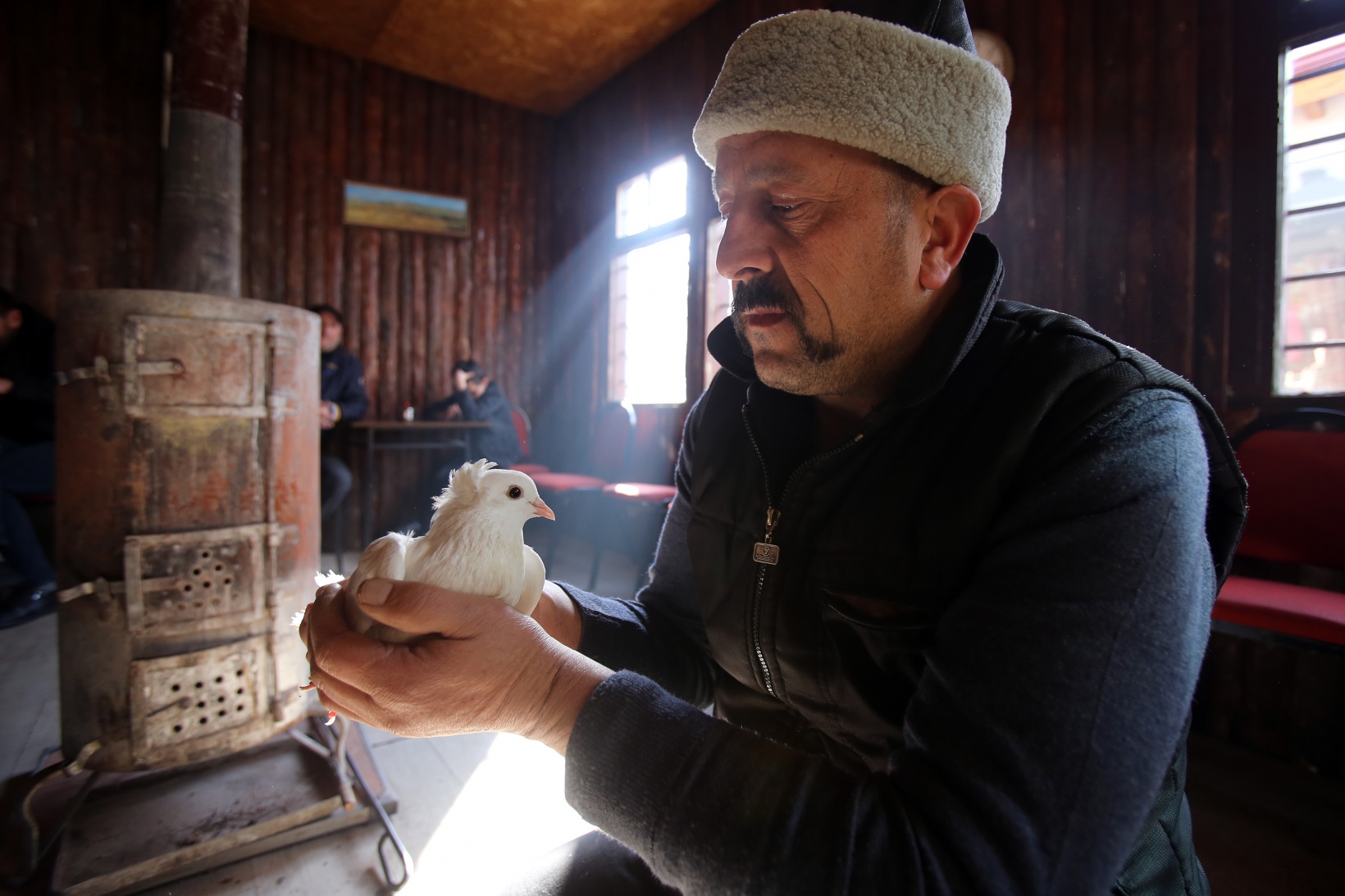 Sahibinin ömrünü uzatan güvercin: Kelkit Tepelisi 9