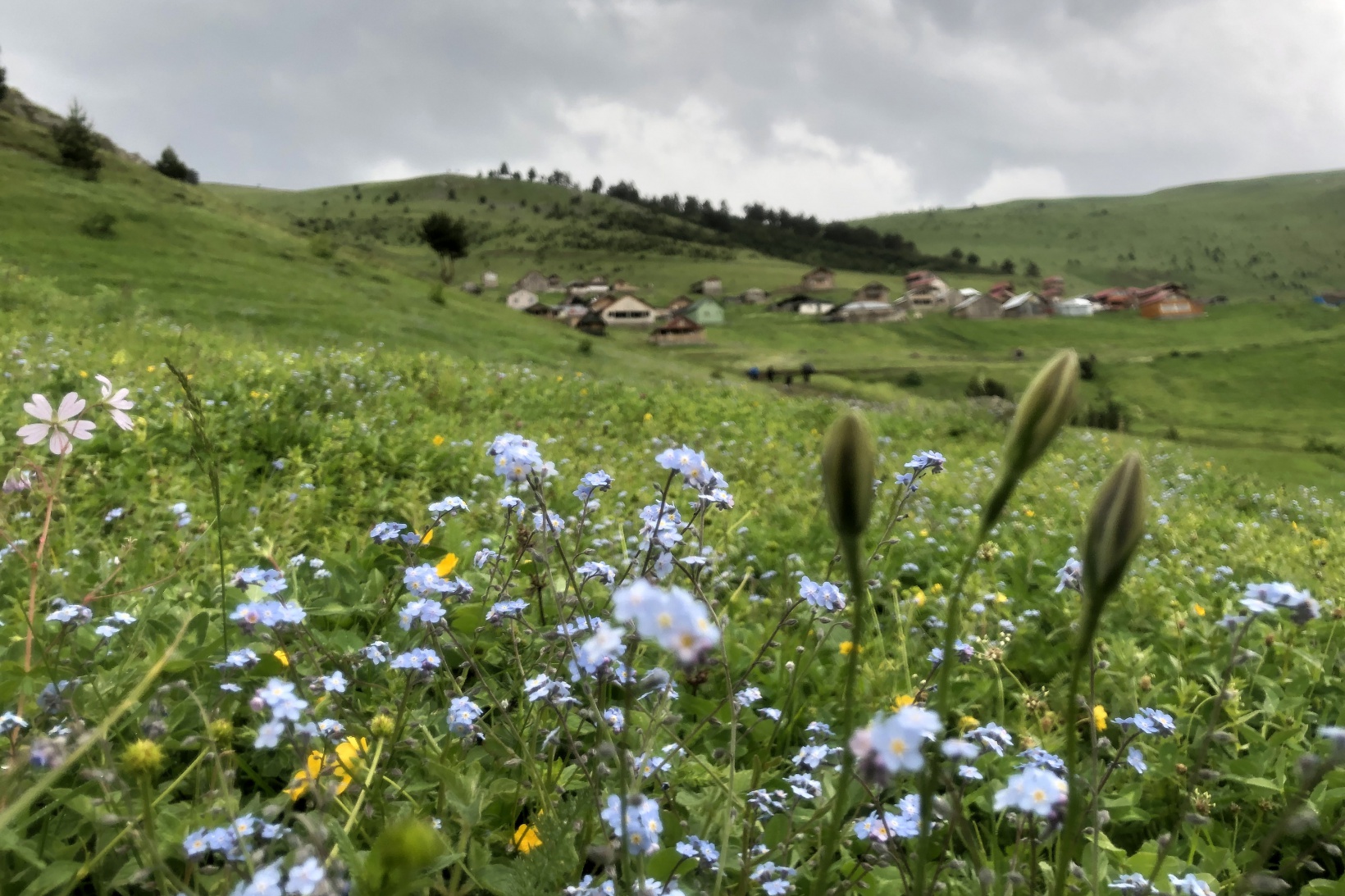 Gümüşhaneli doğaseverler Altınpınar Gölünde kamp kurdu 15