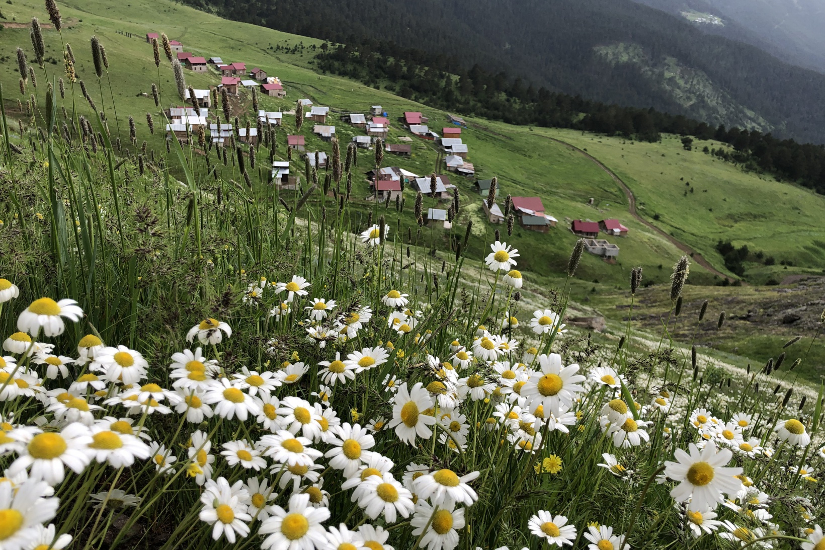 Gümüşhaneli doğaseverler Altınpınar Gölünde kamp kurdu 22