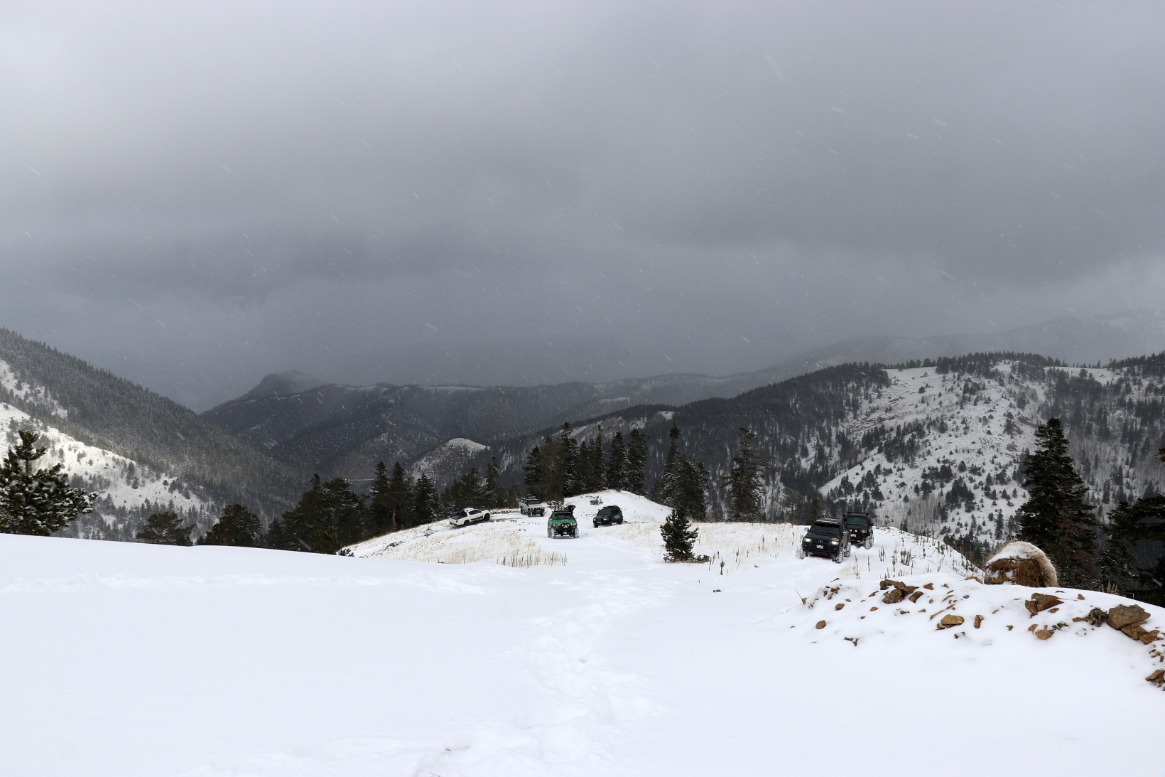 Zorlu yolları bu kez yaban hayvanları için aştılar 24