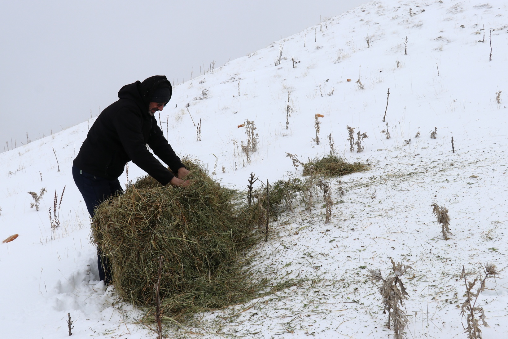 Zorlu yolları bu kez yaban hayvanları için aştılar 31
