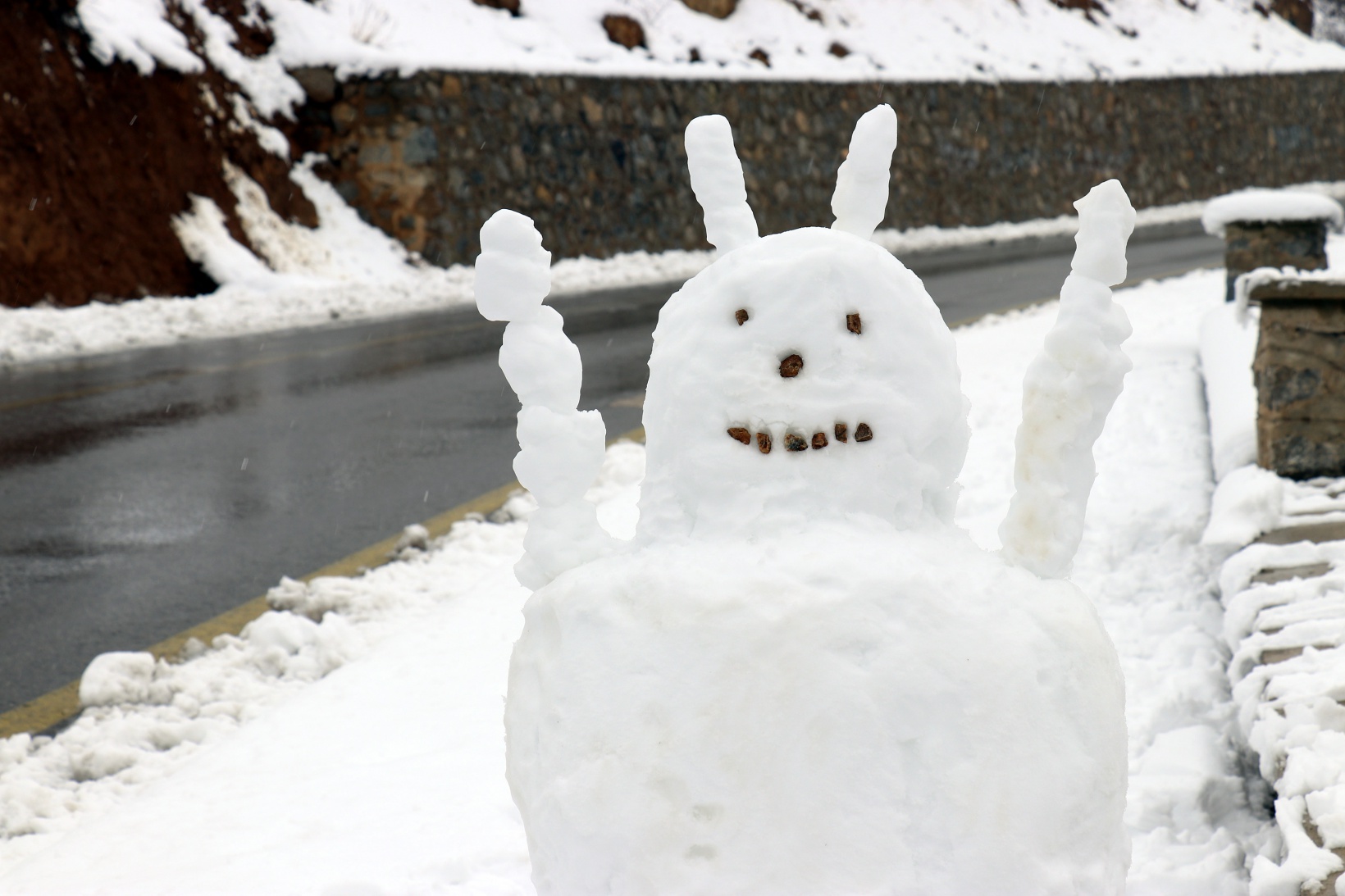Gümüşhane’de kar kalınlığı 14 santimetreye ulaştı 13